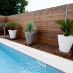 Plunge Into Summer- Why You Need A Plunge Pool