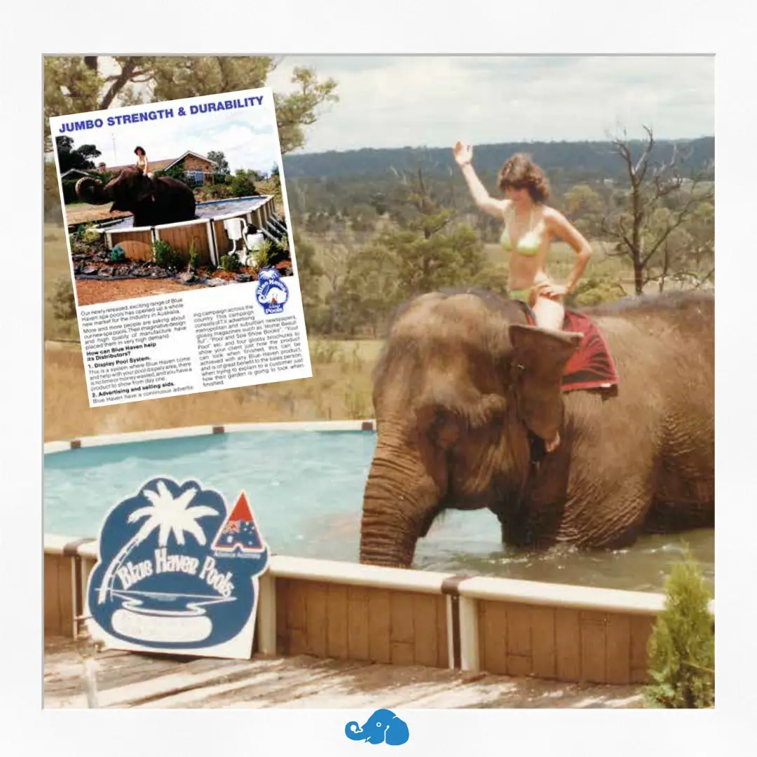 Historical Blue Haven Pools image from 1973