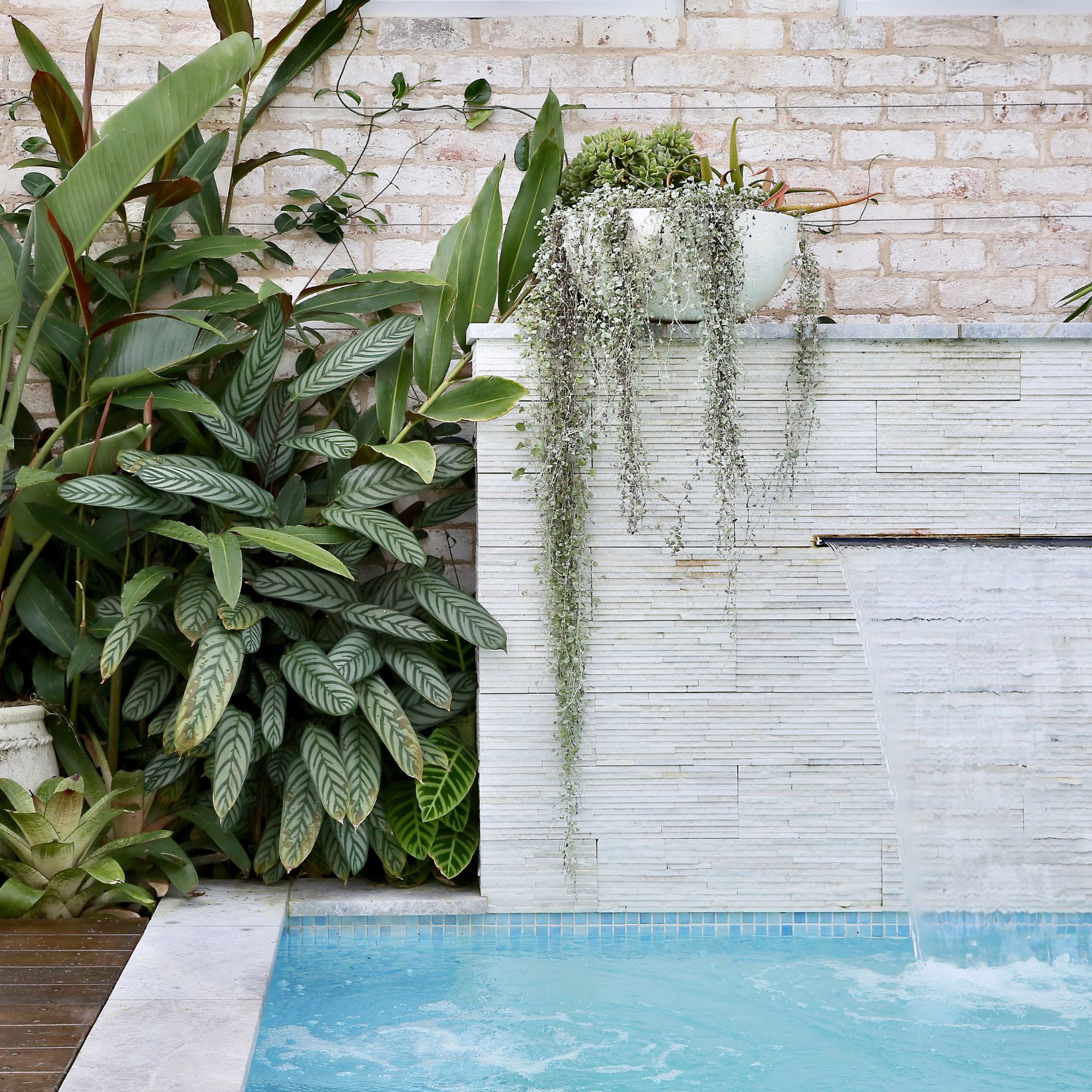 Pool feature wall with sheer descent waterfall in Grays Point Sydney