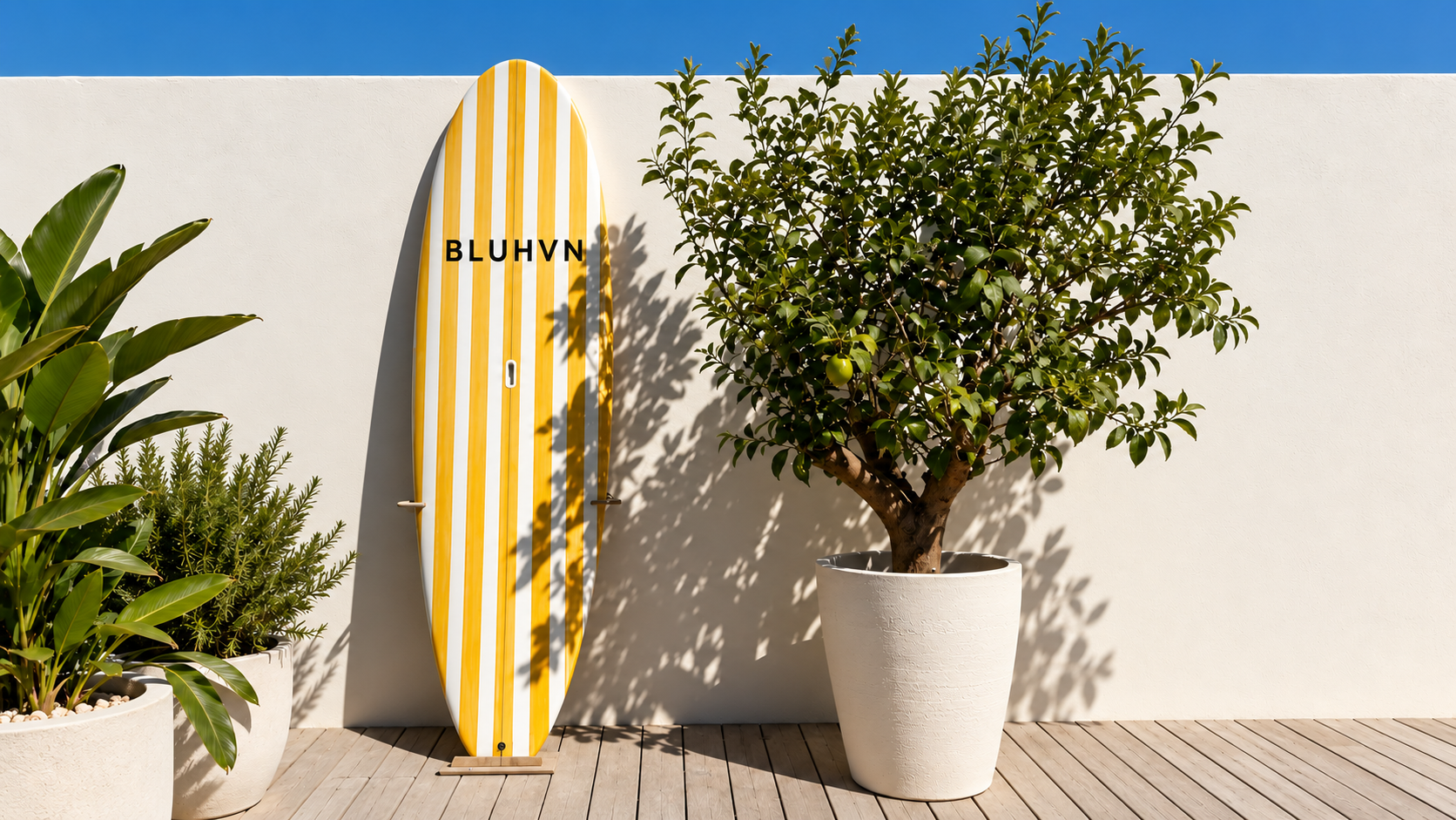 Surf and coastal culture in Sydney Eastern Suburbs